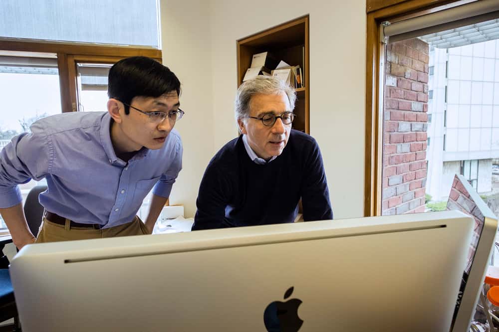Peng Yi (à gauche) et Doug Melton (à droite) travaillent sur ce projet depuis plusieurs années, mais c'est en 2011 que leurs recherches sur le diabète ont pris un nouveau tournant, quand ils ont pu constater les effets de la bêtatrophine sur la synthèse des cellules bêta pancréatiques. © B. D. Colen, université Harvard