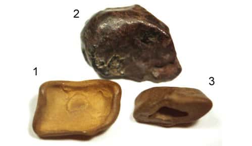Ces trois pierres trouvées sur le site de l'événement de la Toungouska (Sibérie) auraient une origine extraterrestre. Proviennent-elles d'un corps céleste qui aurait explosé dans l'atmosphère le 30 juin 1908 ? © Andrei Zlobin