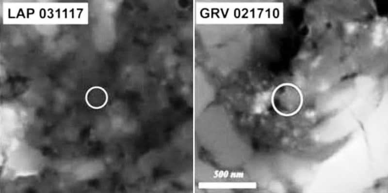 Sur ces images prises au microscope électronique, les cercles indiquent des grains présolaires en silice. Ces deux grains ont été identifiés dans les météorites LaPaz Icefield 031117 (à gauche) et Grove Moutains 021710 (à droite). © Haenecour P. <em>et al</em>.