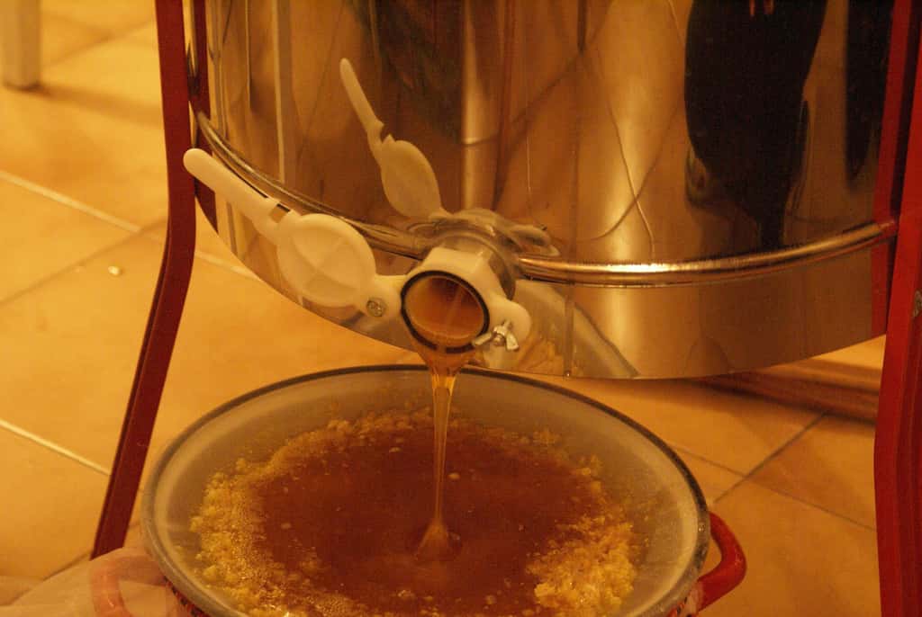 En 2010, les apiculteurs français ont produit 46 % du miel consommé sur le territoire. Le reste a été importé, principalement d'Espagne et d'Allemagne. © Printemps été, Flickr, cc by nc nd 2.0