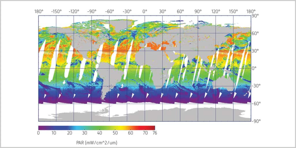 Valeurs moyennes des radiations efficaces pour la photosynthèse, obtenues par compilation de données des instruments Meris et SeaWifs (<em>Sea-viewing Wide Field-of-view Sensor</em>). © Esa