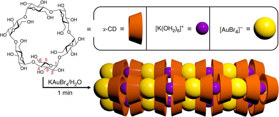 Représentation schématique de la structure des nanofilaments en forme d’aiguille, obtenus par la nouvelle méthode des chercheurs. Un filament est formé par une succession de complexes de potassium [K(OH<sub>2</sub>)<sub>6</sub>]<sup>+</sup> et de complexes d’or [AuBr<sub>4</sub>]<sup>-</sup>, entrecoupée d’alpha-cydextrines (alpha-CD). Cette dernière molécule est issue d’un dérivé d’amidon, et permet d’isoler l’or. © Liu <em>et al.</em>, <em>Nature Communications</em>