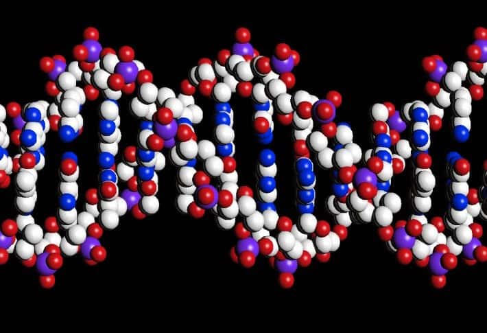 L'ADN pourrait être utilisé pour déterminer l'agressivité d'un cancer, car les gènes qui s'activent dans les cellules tumorales sont porteurs d'informations exploitables. © Peter Artymiuk, <em>Wellcome Images</em>, Flickr, cc by nc nd 2.0