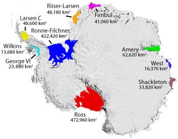 Les plateformes glaciaires flottantes de l'Antarctique sont représentées en différentes couleurs : les deux plus grandes sont Ross et Filchner-Ronne. Dans toutes ces zones, la couverture de glace qui provient des glaciers fond par le dessous. © Scambos <em>et al.</em>, 2007, <em>National Snow and Ice Data Center</em>