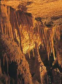 <br />Stalactites de la Grande Salle du Kartchner Caverns State Park, Benson, Arizona <br />&copy; Noelle Wilson. Arizona State Parks
