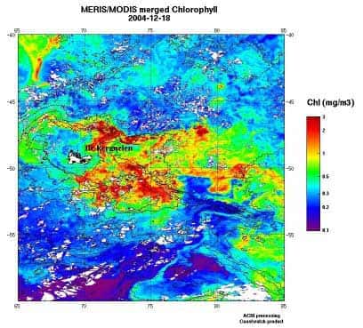 <br />Mission KEOPS. Ces images fournies par les satellites d'observation de la couleur de l'eau montrent la floraison des algues microscopiques (artificiellement colorée en rouge sur l'image) autour des îles Kerguelen. &copy; ACRI. MERIS. MODIS.