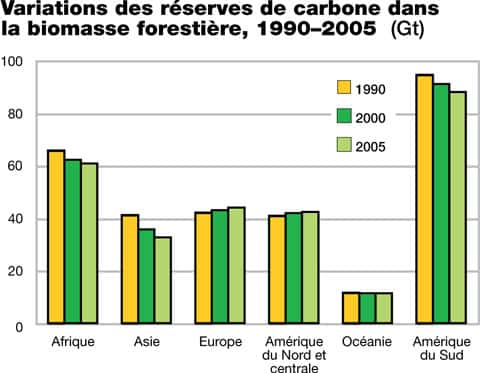 <br />Exemple de déforestation illégale &copy; FAO 