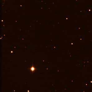 Le pulsar 1259-63 est en orbite autour de l'étoile SS 2883, brillante et visible des astronomes amateurs<br /> (Crédits : ESA)