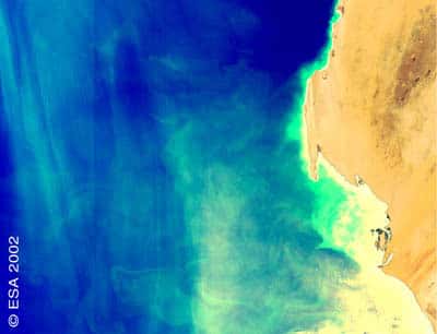 <br />Les couleurs observées par MERIS traduisent la concentration en chlorophylle détectable depuis 1/100000000 de grammes par litre. Photo &copy; ESA