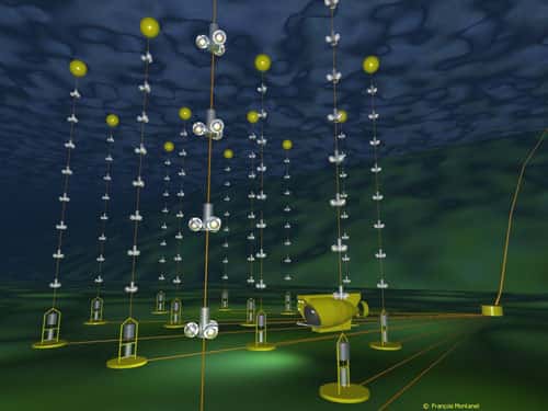 <br />Représentation en images virtuelles du détecteur sous-marin "Antares". Ce télescope à neutrinos européen est installé par 2400 mètres de fond à 10 milles nautiques au sud de l'île de Porquerolles. Douze lignes de 400 mètres de long portant chacune 75 capteurs spéciaux (photomultiplicateurs) traqueront l'infime trace lumineuse laissée dans l'eau par un "muon", particule chargée, issue de la rencontre rarissisme d'un atome de matière et d'un neutrino. Les chercheurs espèrent par ce procédé déduire la direction d'où proviennent les neutrinos. Une information qui permettrait d'en identifier la source : cataclysme cosmique ou matière nouvelle inconnue. <br />&copy; CNRS Photothèque/IN2P3 - Montanet François - Reproduction et utilisation interdites 