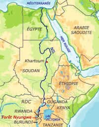 La source la plus lointaine du Nil est située dans la forêt de Nyungwe, au Rwanda <br />(Courtesy of Bourgoing/Géoatlas/RFI)