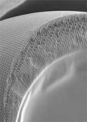Section de l'oeil artificiel <br />De minuscules guides d'ondes partent des lentilles, à l'extérieur, et se dirigent vers le centre de l'oeil  <br />Ces canaux ont été obtenus par bombardement de rayons ultraviolets <br />(Courtesy of Science)