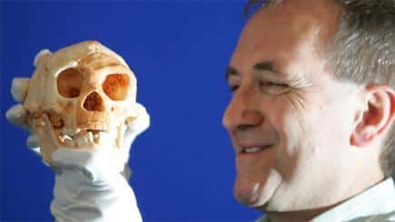 Moulage du crâne de "Hobbit" retrouvé<br /> Etre ou ne pas être une nouvelle espèce d'hominidés: Telle est la question... (Courtesy of AP/Richard Lewis)