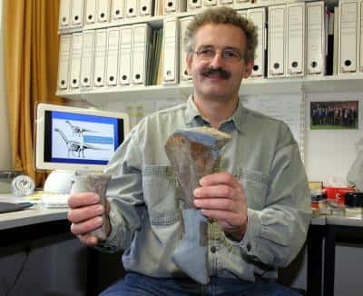 Martin Sander présentant deux os d'Europasaurus <br />(Crédits : Frank Luerweg / University of Bonn)