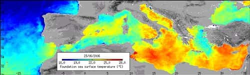 Température de la surface de la mer méditerranée le 23 juin 2006 (crédit : ESA)