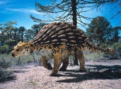 Image d'un Ankylosaurus<br /> Les dinosaures étaient-ils à "sang chaud" ou à "sang froid" ? <br />Tout dépendait de leur taille !