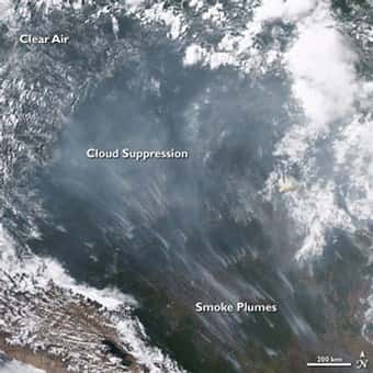 Des panaches de fumée peuvent être de redoutables "tueurs de nuage", lorsque leurs particules absorbent les rayons du Soleil <br />En témoigne cette image du satellite AQUA - prise en 2005 dans l'ouest du Brésil - qui a pris ce nuage de fumée la main dans le sac<br /> (Crédits : NASA)