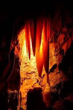 Les grottes de Jenolan sont âgées de 340 millions d'années<br /> Un record sans précédent ! <br />(Crédits : Jenolan Caves Trust)
