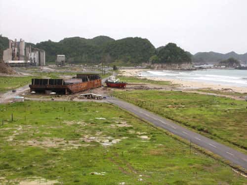 <br />Plage de Lhok Nga lors de la deuxième mission "Tsunarisque" en Août 2005. 300 mètres de plage avaient été dévastés lors du tsunami du 26 décembre 2004, on voit la barge de la cimenterie et au fond la cimenterie Lafarge. La végétation a recouvert assez vite le sable répandu par le tsunami dans les terres. "Tsunarisque" est un projet scientifique sur deux ans. Ce programme a effectué depuis Janvier 2005 trois missions sur le terrain, l'une d'urgence en Janvier/Février, la deuxième en août puis la dernière, en décembre 2005, mobilisant à chaque fois une petite trentaine de chercheurs français et indonésiens. Une dernière suivra, pour sonder et explorer les fonds marins proches des côtes au premier semestre 2006. <br />&copy; CNRS Photothèque  /  PARIS Raphaël.