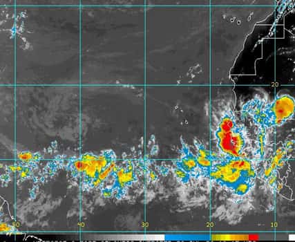 <br />Pendant la saison des ouragans, des orages tels que ceux présents sur cette image Meteosat-8 se forment sur l'Afrique et voyagent vers l'ouest au-dessus de l'Atlantique, où certains deviennent des cyclones tropicaux. La campagne NAMMA de la NASA va étudier l'influence des conditions atmosphériques en Afrique sur la naissance d'ouragans dans l'Atlantique.<br />&copy;  NOAA/Eumetsat