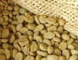 <br />Grains de café vert<br />&copy; FAO