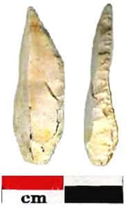 <br />Pointe à dos sub anguleux. Ce type d'objet, large et trapu, est caractéristique de l'Epipaléolithique (environ 11500 B.P.). Il est accompagné de petits grattoirs et de rares lamelles à dos. <br />&copy; : F. Bazile, 2006 <br />Reproduction et utilisation interdites
