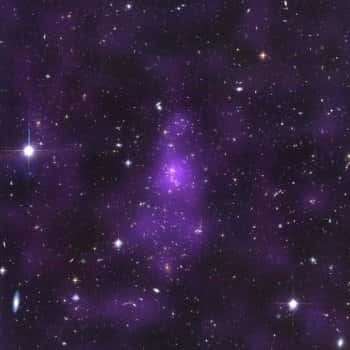 Matière noire en violet, dans la galaxie CL 0152-1357 &copy; Jee et al. 2005, Astrophysical Journal