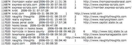 Exemple du fichier divulgué par AOL