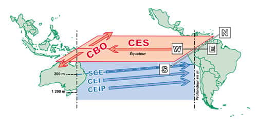 <br />Vue schématique des courants de la couche de surface (en rouge) et de subsurface (en bleu) dans le Pacifique tropical. On distingue le Courant Equatorial Sud (CES) qui, lorsqu'il arrive sur le bord ouest (W) alimente les deux Courants de Bord Ouest (CBO) et le Sous Courant Equatorial (SCE). Ce dernier coule le long de la thermocline (trait bleu incliné) dans le sens opposé au Courant Equatorial Sud. Sous le Sous Courant Equatorial se trouvent le Courant Equatorial Intermédiaire (CEI) et le Courant Equatorial Intermédiaire Profond (CEIP) entre environ 300 et 1200 m de profondeur. Ces deux derniers courants (CEI et CEIP) se sont renversés entre octobre 1999 et avril 2000 pour des raisons encore inexpliquées.<br />&copy;  IRD
