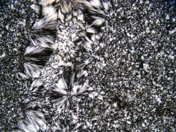Silex stromatolithique de 3,5 milliards d'années. © François Robert LEME / MNHN 