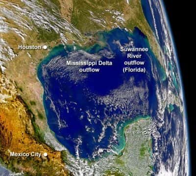 Dans le golfe du Mexique (vu ici en 2004), l'image satellite met bien évidence la prolifération des algues planctoniques (traînées vertes) sur de vastes surfaces, provoquée par le rejet d'éléments nutritifs par l'activité humaine. © <em>SeaWiFS Project, Nasa Goddard et Orbimage</em>