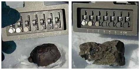Chondrite et achondrite découvertes le 27 janvier. Crédit NASA/Carnegie