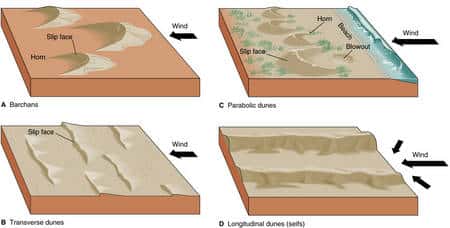 Les 4 types principaux de dunes<br />Crédit : Arjuna Multimedia, 2005
