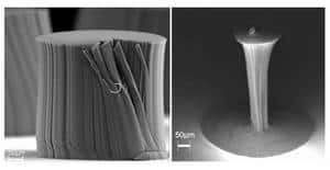 A gauche, des nanotubes de carbone qui ont poussé naturellement. A droite, les mêmes nanotubes après une étape de densification : le diamètre s’est réduit de 25 fois. Crédit : Rensselaer/Liu