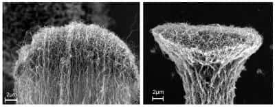 Détail de l’extrémité d’un faisceau de nanotubes avant (à gauche) et après densification (à droite).<br />Crédit : Rensselaer/Liu