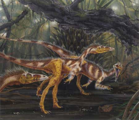 Des Compsognathus (Crédit : <a target="_blank" href="http://www.marshalls-art.com/">www.marshalls-art.com</a>).