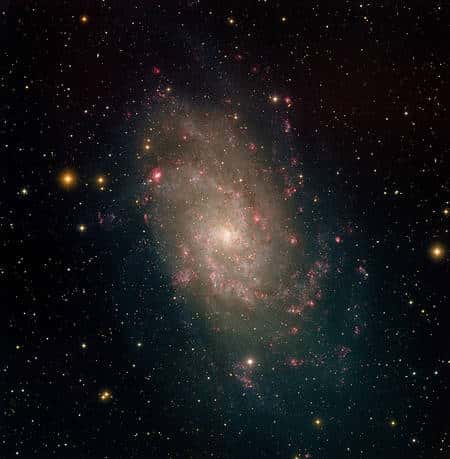 Image en optique obtenue au Kitt Peak de M33. Cette galaxie est située dans la constellation du Triangle et fait partie du Groupe Local comprenant entre autres  Andromède et la Voie Lactée. Cliquez pour agrandir (Crédit : NOAO/AURA/NSF/T.A.Rector).