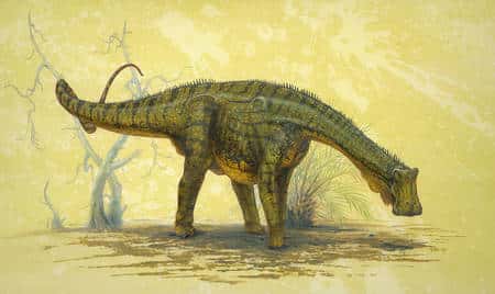 Reconstitution du Nigersaurus, le &quot;lézard du Niger&quot;. Cliquez pour agrandir. Crédit : Todd Marshall, <em>National Geographic</em>