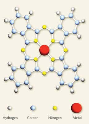 En jaune, les atomes d'azote dans une molécule de MPc.<br />Crédit : <em>Nature</em> / Jeroen van den Brink - Alberto F. Morpu