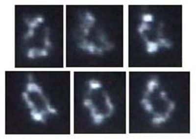 Première réplique synthétique du chromosome de <em>Mycoplasma genitalium</em> obtenue par les chercheurs du <em>J. Craig Venter Institute</em>. Crédit JCVI