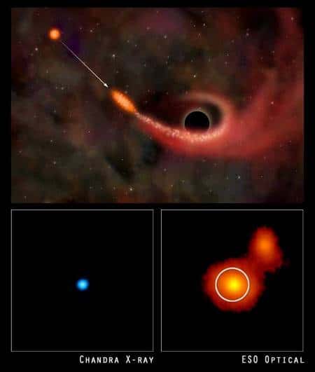 En 2004, les satellites Chandra et XMM Newton ont peut-être observé la disruption d'une étoile par un trou noir supermassif de plusieurs millions de masse solaire dans la galaxie RXJ1242-11. Le processus, ici avec une étoile normale, est à comparer avec celui proposé avec naine blanche. Notez en particulier la déformation de l'étoile en forme de crêpe . Crédit : Nasa/CXC/M. Weiss; <em>X-ray</em> : Nasa/CXC/MPE/S. Komossa <em>et al.;</em> <em>Optical</em> : ESO/MPE/S. Komossa