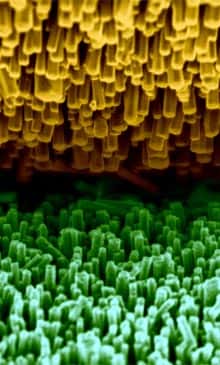 Vue rapprochée du contact entre deux fibres de Kevlar, cachées sous leur couverture de nanofibres d'oxyde de zinc. Celles du haut, en jaune, sont recouvertes d'une fine couche d'or et celles du bas ne le sont pas. Les mouvements relatifs de ces deux fibres de Kevlar frottent les nanofibres les unes contre les autres et les déformations induisent un courant électrique. © Z. L. Wang et X. D. Wang, <em>Georgia Tech</em>