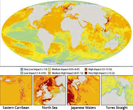 La carte indique par la couleur le degré d'influence des activités humaines sur les écosystèmes marins, du plus faible impact (en bleu) au plus élevé (en rouge). Les maximums s'observent dans des secteurs très localisés dans les Caraïbes, ou encore en mer du Nord. Mais la majorité de l'océan mondial est classé « moyen haut ». © B. S. Halpern