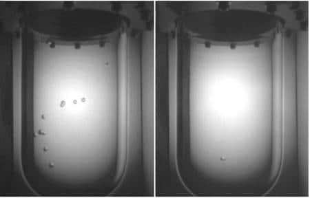 L'apparition de bulles dans la chambre de Coupp sous l'effet de particules de matière normale.<br />Crédit : <em>Coupp collaboration</em>