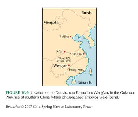 Localisation de la formation Doushantuo près de Weng'an dans la province de Guizhou.