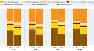 Figure 3 (cliquez pour agrandir). Abondance moyenne des espèces vivantes et causes de leur disparition. Le graphe indique les valeurs de 2000 et estimées pour 2030 pour, de gauche à droite, les pays de l'OCDE, ceux du BRIC, ceux du reste du monde et pour le monde entier. Les couleurs représentent (de bas en haut), la biodiversté restante (en marron) et, pour le reste, les pertes liées à l'azote, aux infrastructures, au morcellement des terres, à l'exploitation forestière, au climat et à l'agriculture (part la plus importante).<br />© OCDE