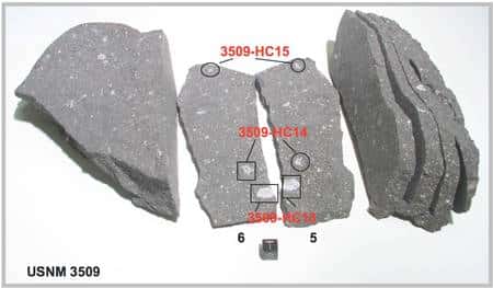 Figure 1. Un échantillon de la météorite d’Allende, une chondrite carbonée CV3, sciée en plaques d’environ 1 cm d’épaisseur (le cube marqué de la lettre T, de 1 cm de côté, donne l'échelle). Des inclusions réfractaires CAIs (<em>Ca, Al-rich inclusions</em> en anglais) ont été identifiées, comme ici, signalées en rouge sur les plaques 5 et 6. © <em>University of Maryland</em>