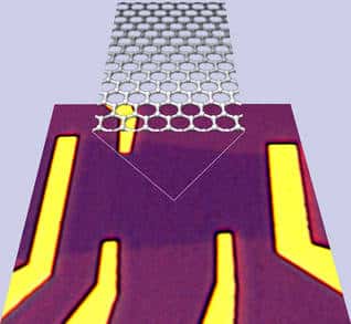 Figure 1. Sur le substrat d'oxyde de silicium (en violet clair) est étalée la feuille de graphène (zone en violet foncé), installée entre les électrodes d'or (en jaune). La partie supérieure est un dessin, montrant la structure du graphène, cristal bidimensionnel. © S. Cho and M. S. Fuhrer, <em>University of Maryland</em>