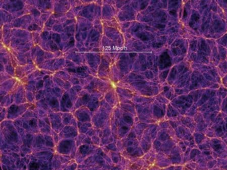 Cliquez pour agrandir. Une simulation des amas de galaxies rassemblés dans des filaments. Crédit : Springel <em>et al.</em>, Virgo Consortium