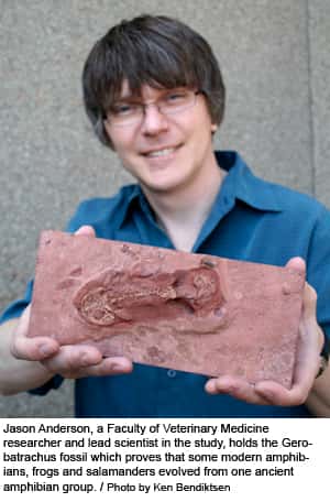 Le fossile <em>Gerobatrachus hottoni</em> tenu par Jason Anderson. Crédit : <em>University of Calgary</em>